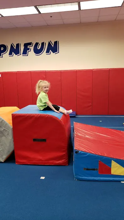 FlipNFun Gymnastics Picture 8