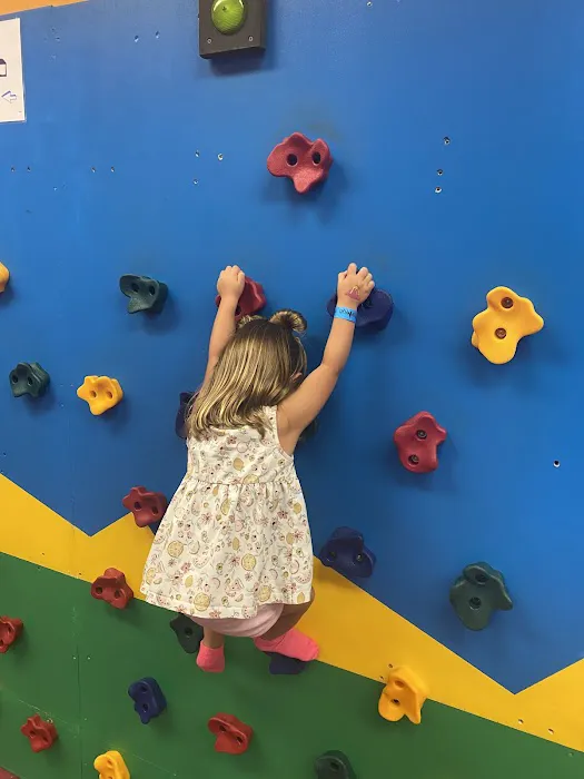 FlipNFun Gymnastics Picture 3