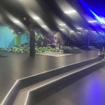 Sky Zone Trampoline Park