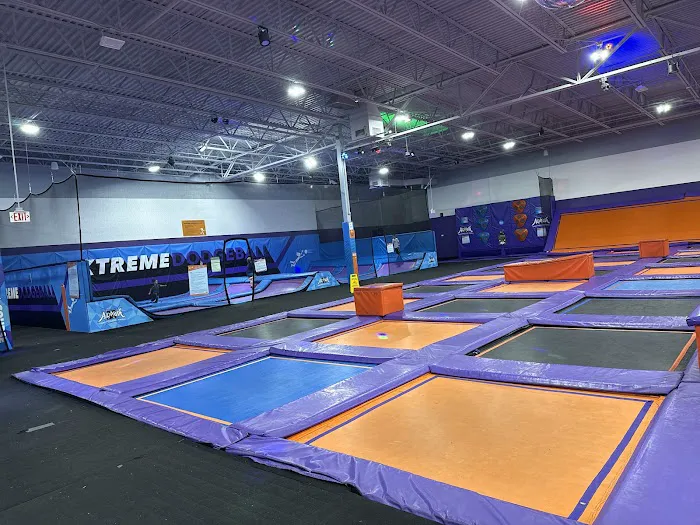 Altitude Trampoline Park Picture 2