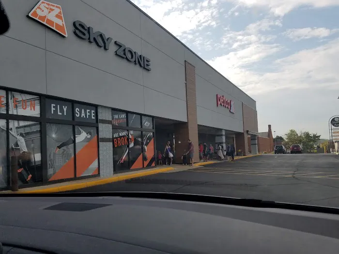 Sky Zone Greenfield Picture 10