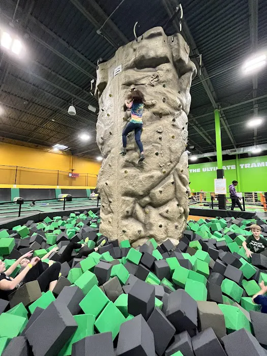 Sky Zone Brown Deer Picture 6