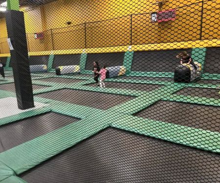 Sky Zone Brown Deer