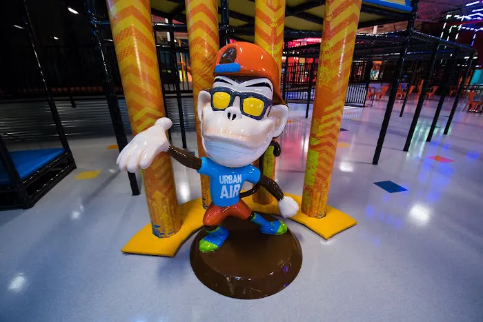 Urban Air Trampoline and Adventure Park Picture 10
