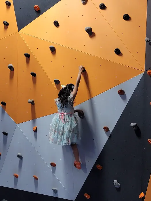 Sky Zone Trampoline Park Picture 3
