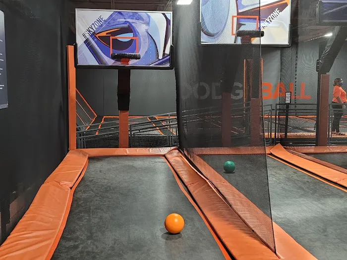 Sky Zone Trampoline Park Picture 4