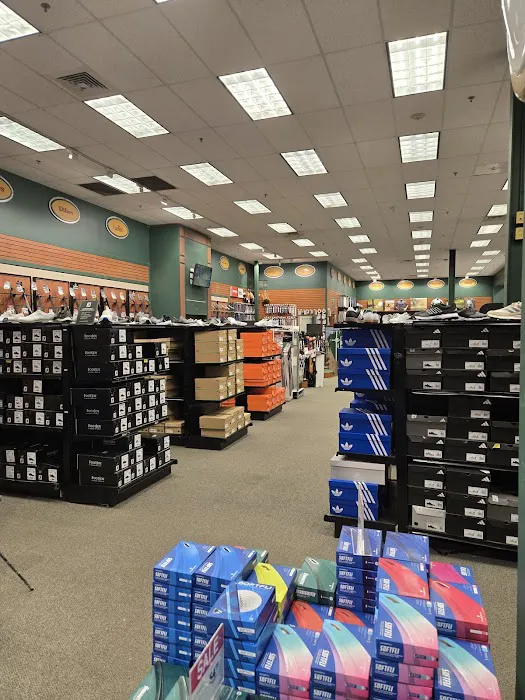 DICK'S Sporting Goods Picture 1