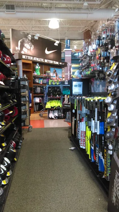 DICK'S Sporting Goods Picture 3