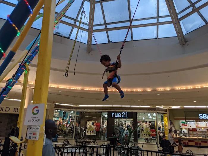 Bungee Jump Picture 2