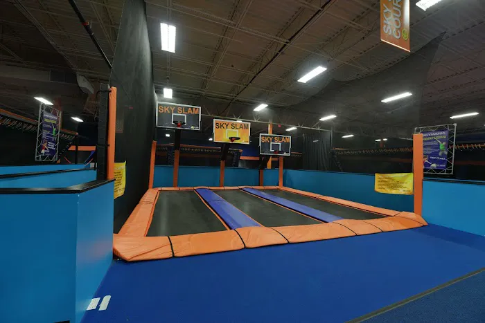 Sky Zone Trampoline Park Picture 8