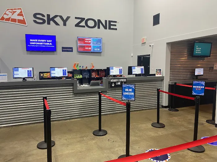 Sky Zone Trampoline Park Picture 7