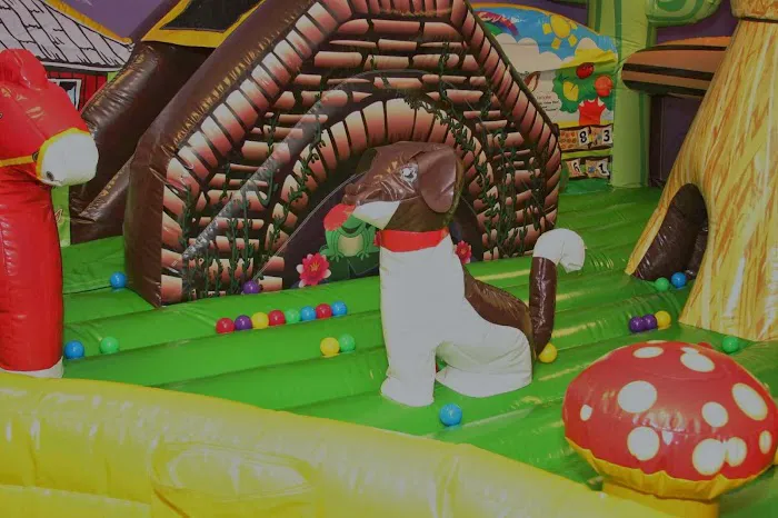 Woody's Jump n Play Picture 10