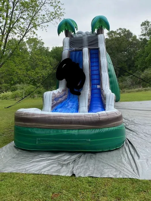 Jump For Joy Picture 1