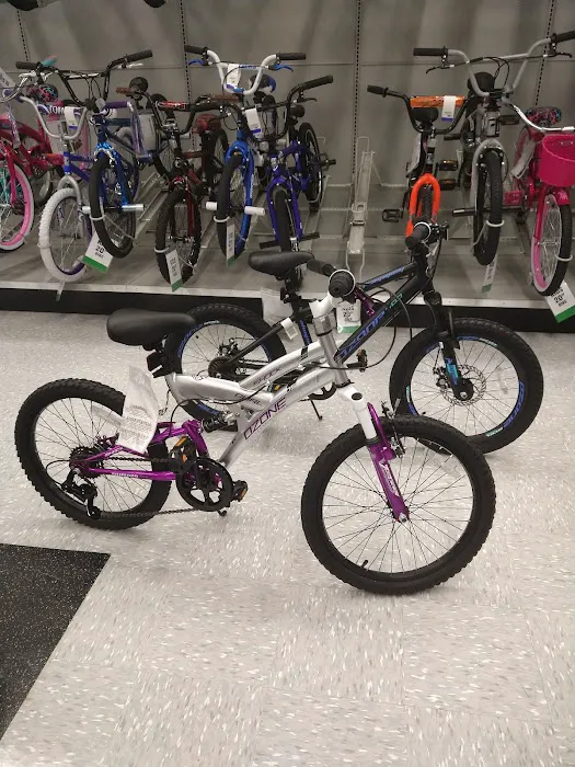 Academy Sports + Outdoors Picture 6