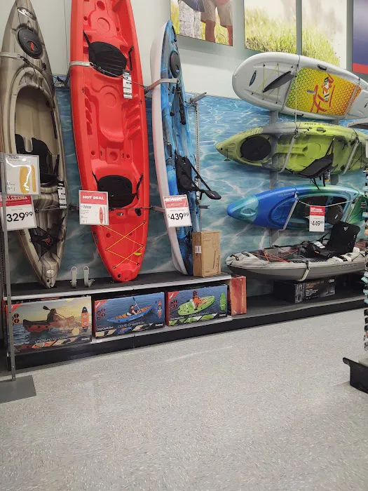 Academy Sports + Outdoors Picture 5