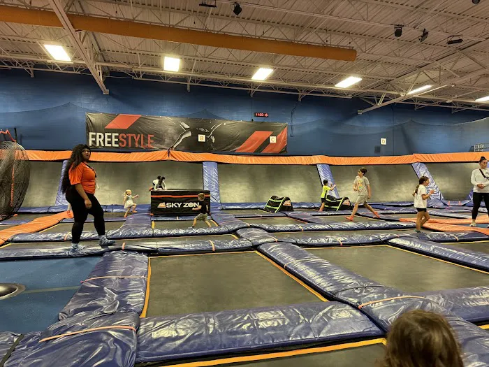 Sky Zone Trampoline Park Picture 1