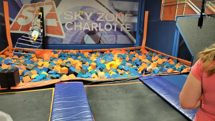 Sky Zone Trampoline Park Picture 2