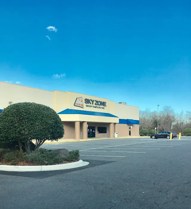 Sky Zone Trampoline Park Picture 4
