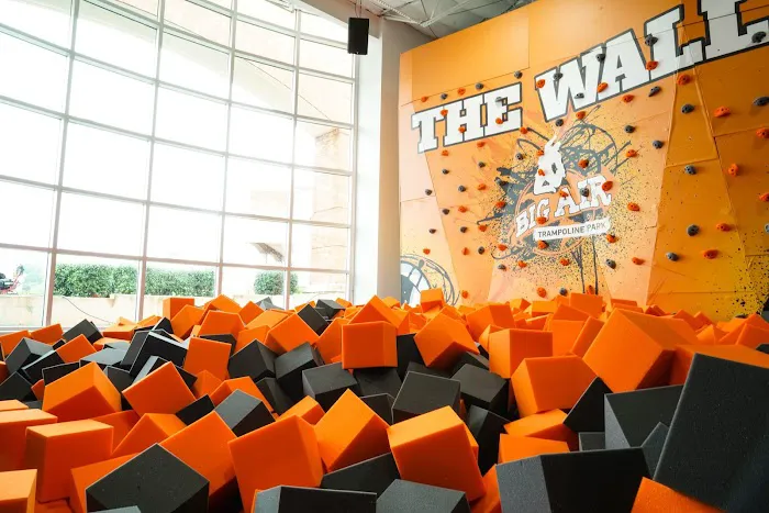 Big Air Trampoline Park Picture 8