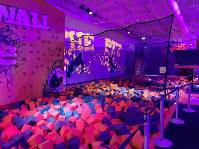 Big Air Trampoline Park Picture 6