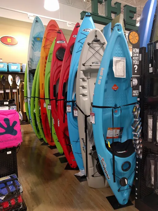 DICK'S Sporting Goods Picture 9