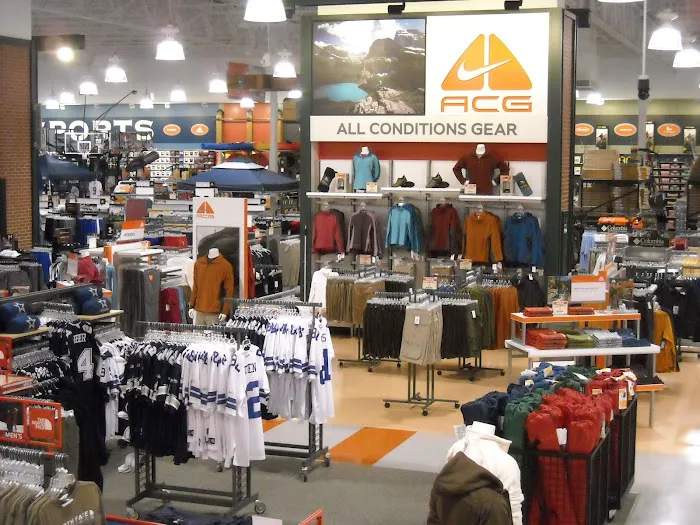DICK'S Sporting Goods Picture 3
