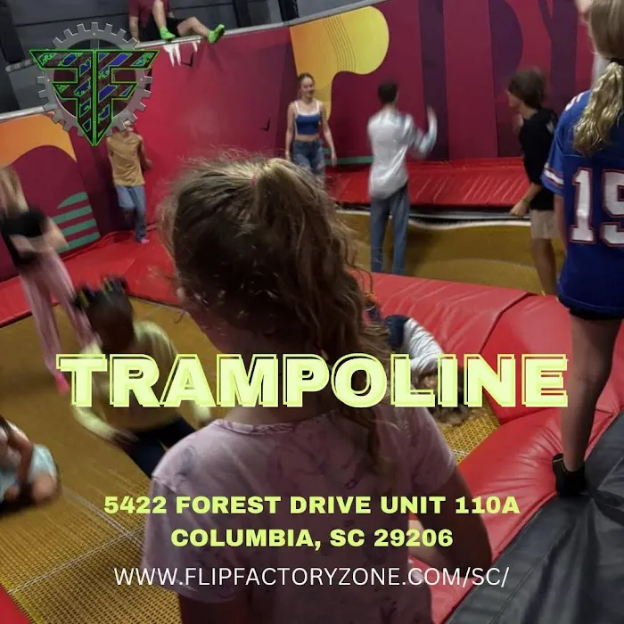 Flip Factory Zone Picture 7