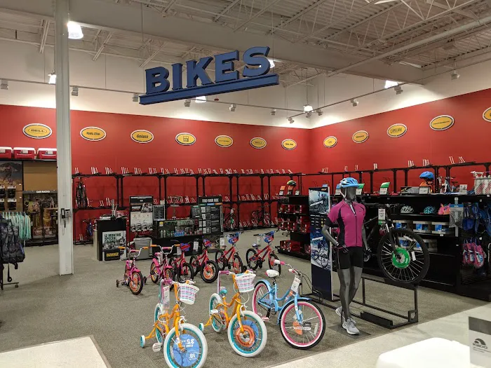 DICK'S Sporting Goods Picture 4