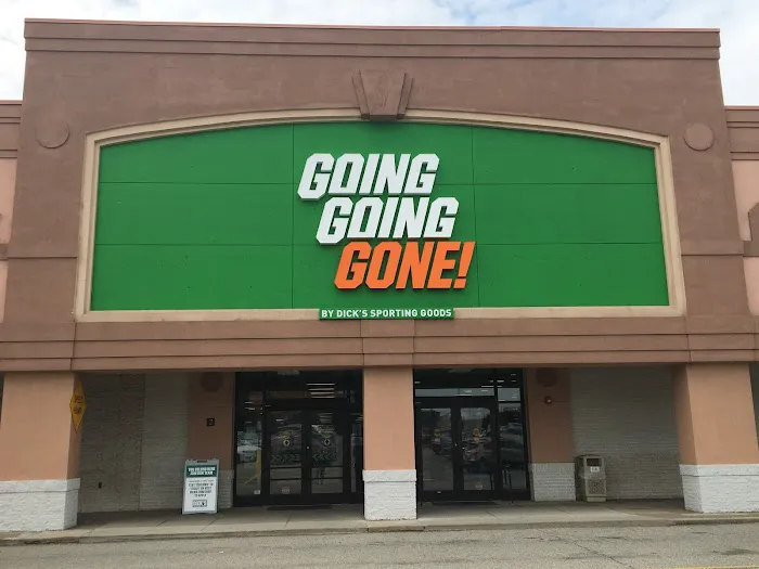 Going, Going, Gone! Picture 10