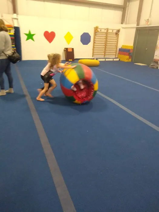Salto Gymnastics Center, Inc. (Brookfield) Picture 11