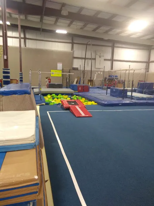 Salto Gymnastics Center, Inc. (Brookfield) Picture 10