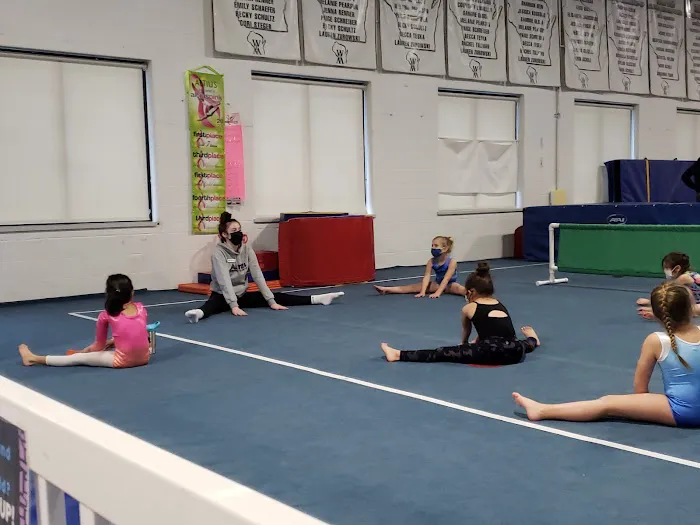 Altius Gymnastics Academy Picture 5