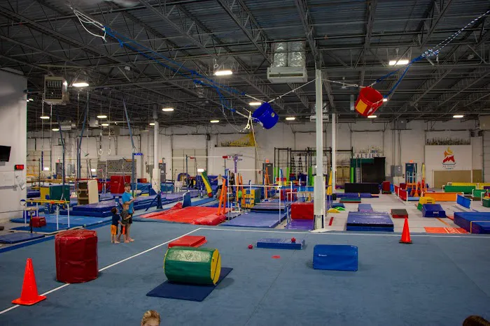 Altius Gymnastics Academy Picture 4