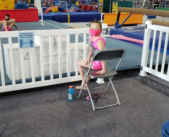 Altius Gymnastics Academy Picture 2
