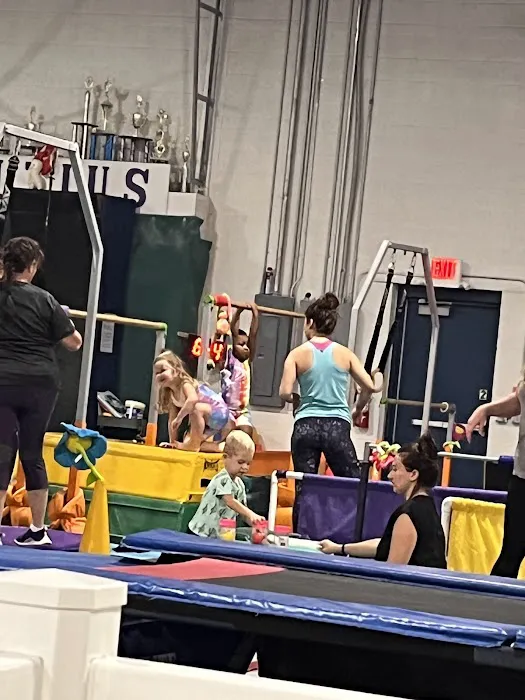 Altius Gymnastics Academy Picture 10
