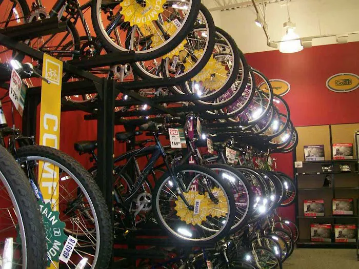 DICK'S Sporting Goods Picture 3
