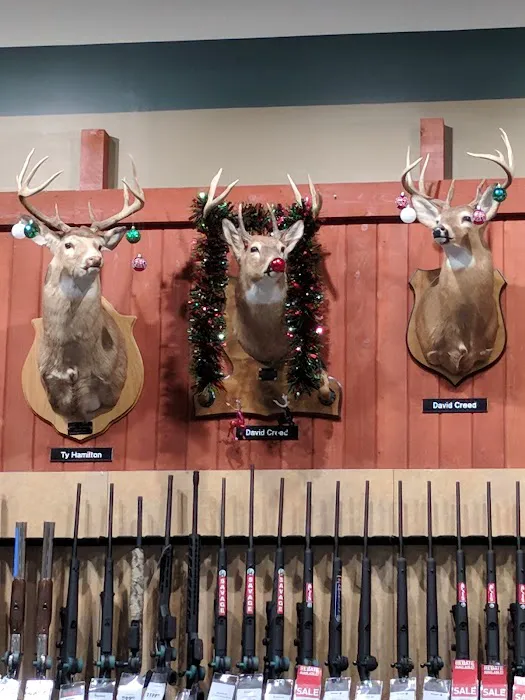 DICK'S Sporting Goods Picture 7