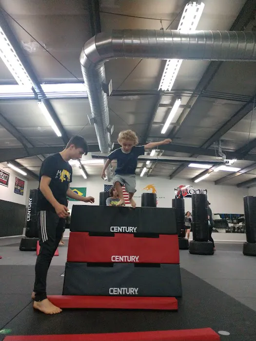 Mebane Ninja Trix Parkour Picture 1