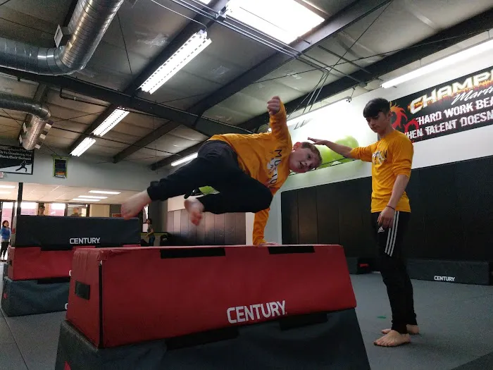 Mebane Ninja Trix Parkour Picture 7