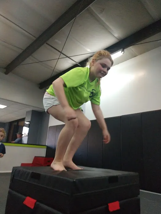 Mebane Ninja Trix Parkour Picture 8