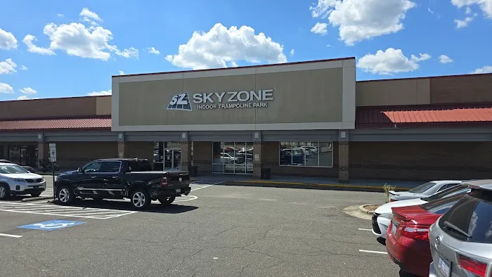 Sky Zone Trampoline Park Picture 1