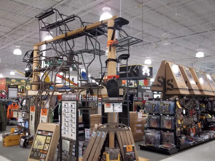 DICK'S Sporting Goods Picture 7