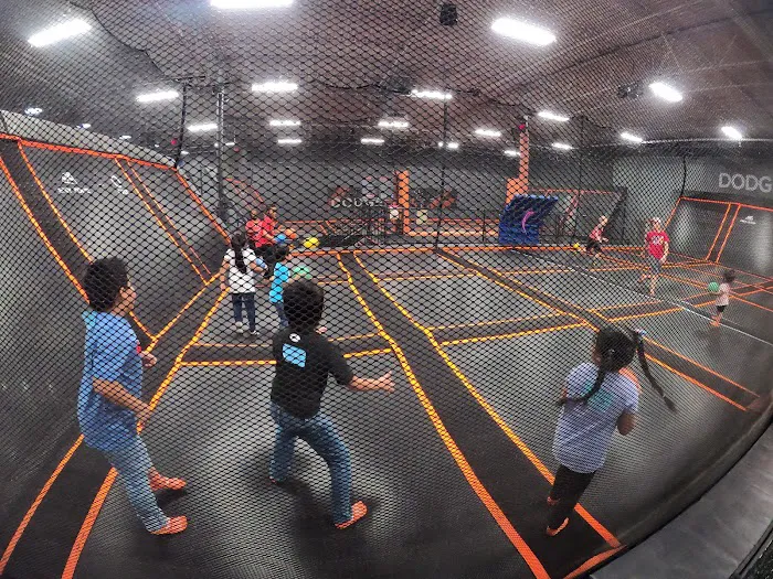 Sky Zone Trampoline Park Picture 3