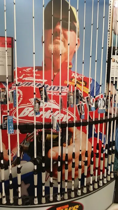 Academy Sports + Outdoors Picture 4