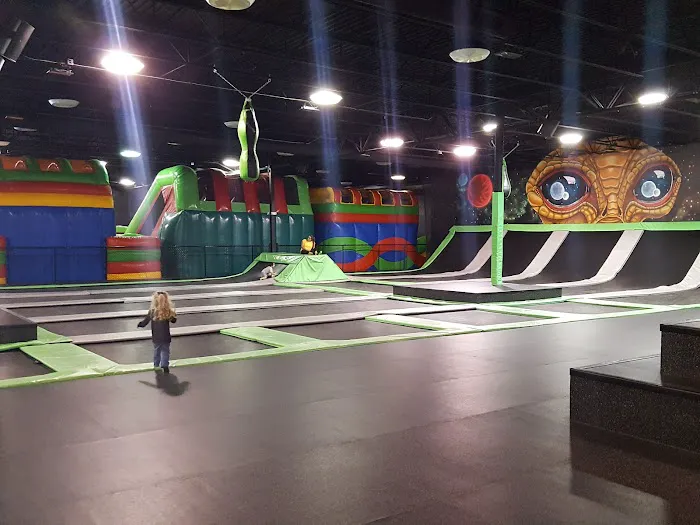 Flight Adventure Park Charleston Picture 3