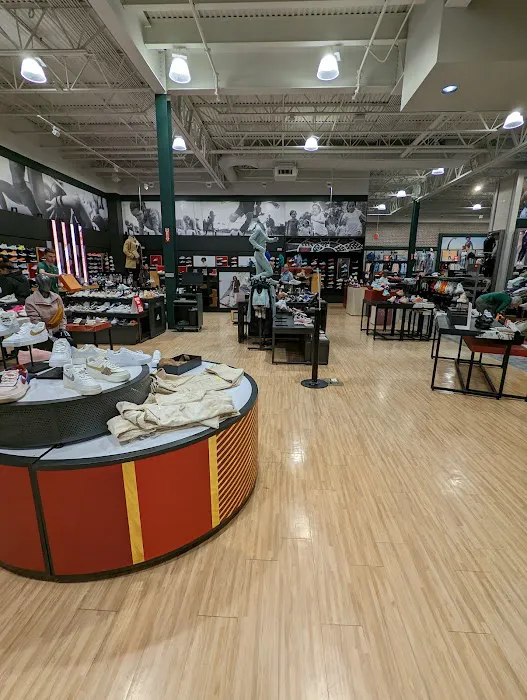DICK'S Sporting Goods Picture 3