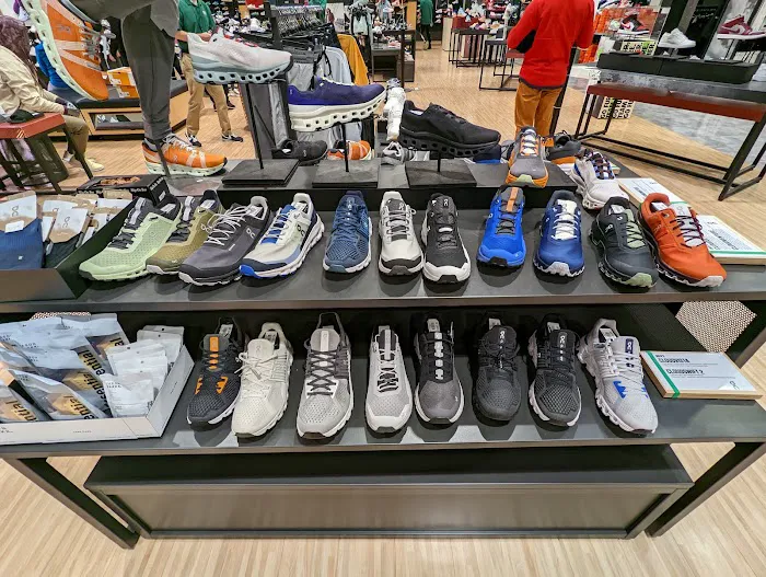DICK'S Sporting Goods Picture 4