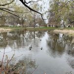 Saveland Park
