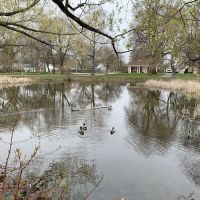 Saveland Park ico