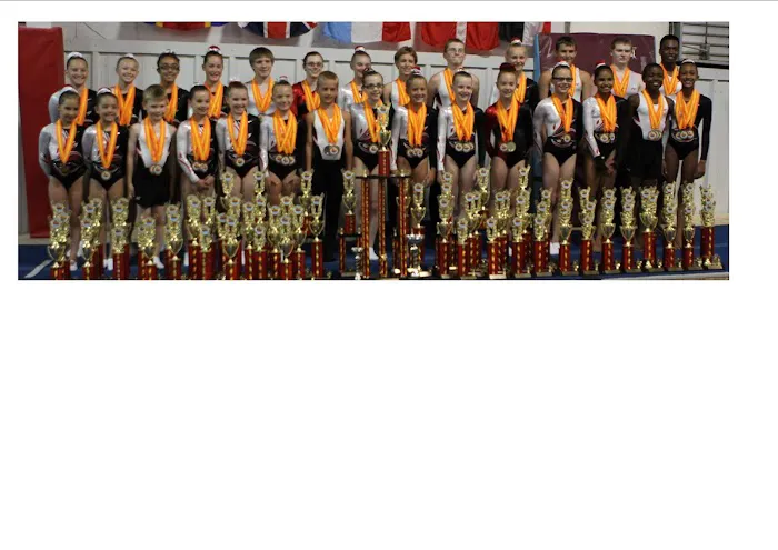 Gymnastics Academy of Rockford Picture 1